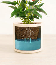 Load image into Gallery viewer, Cream
