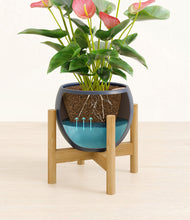 Load image into Gallery viewer, Deep Navy stand:bamboo
