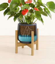 Load image into Gallery viewer, Deep Navy stand:bamboo
