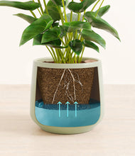 Load image into Gallery viewer, Turquoise
