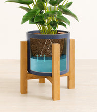 Load image into Gallery viewer, Deep Navy stand:light
