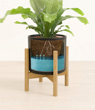 Load image into Gallery viewer, Black stand:bamboo
