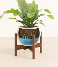 Load image into Gallery viewer, Shiny EggWhite stand:walnut
