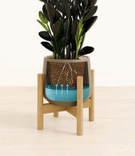 Load image into Gallery viewer, Olive stand:bamboo
