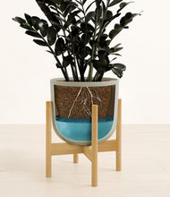 Load image into Gallery viewer, Sage Green stand:bamboo
