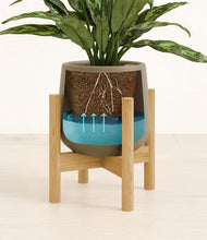 Load image into Gallery viewer, Olive stand:bamboo
