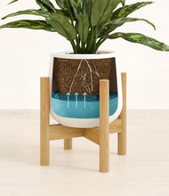 Load image into Gallery viewer, White stand:bamboo
