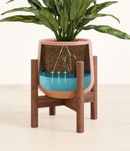 Load image into Gallery viewer, Calm Rose stand:walnut
