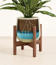 Load image into Gallery viewer, Turquoise stand:walnut
