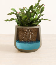 Load image into Gallery viewer, Olive stand:all
