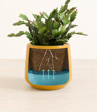 Load image into Gallery viewer, Mustard stand:all
