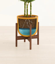 Load image into Gallery viewer, Sunset Orange stand:walnut
