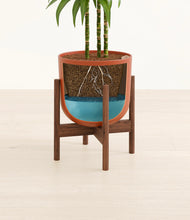 Load image into Gallery viewer, Earth Red stand:walnut

