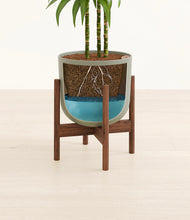 Load image into Gallery viewer, Sage Green stand:walnut
