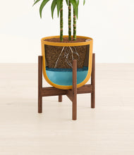 Load image into Gallery viewer, Sunset Orange stand:walnut
