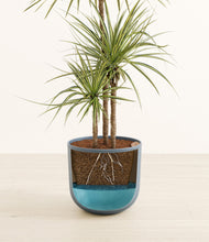 Load image into Gallery viewer, Iron Gray stand:all
