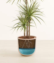 Load image into Gallery viewer, Sandy Pink stand:all
