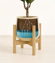 Charger l'image dans la galerie, Almond Green stand:light
