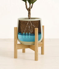Charger l'image dans la galerie, Turquoise stand:light

