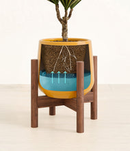 Charger l'image dans la galerie, Mustard stand:dark
