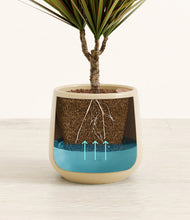 Charger l'image dans la galerie, Almond Green
