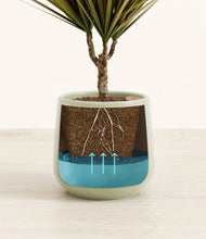 Charger l'image dans la galerie, Turquoise

