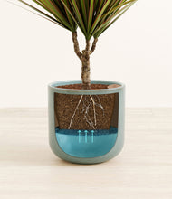 Charger l'image dans la galerie, Reactive Aqua
