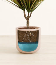 Charger l'image dans la galerie, Sandy Pink
