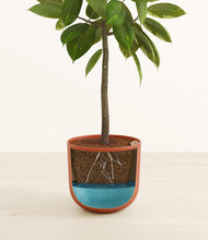 Lade das Bild in den Galerie-Viewer, Earth Red
