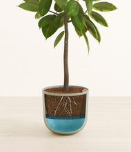 Lade das Bild in den Galerie-Viewer, Sage Green
