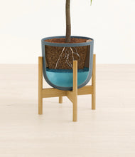Lade das Bild in den Galerie-Viewer, Iron Gray stand:bamboo
