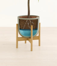 Lade das Bild in den Galerie-Viewer, Sage Green stand:bamboo
