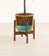 Lade das Bild in den Galerie-Viewer, Sunset Orange stand:walnut
