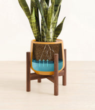 Load image into Gallery viewer, Mustard stand:walnut
