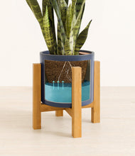 Load image into Gallery viewer, Deep Navy stand:light
