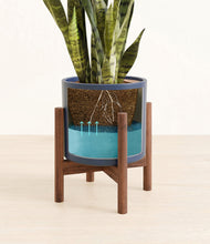 Load image into Gallery viewer, Deep Navy stand:walnut
