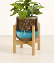 Load image into Gallery viewer, Olive stand:bamboo
