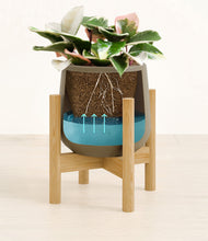 Load image into Gallery viewer, Olive stand:bamboo
