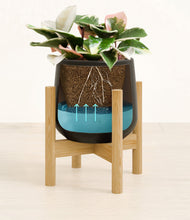 Load image into Gallery viewer, Black stand:bamboo
