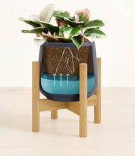 Load image into Gallery viewer, Deep Navy stand:bamboo
