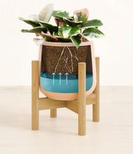 Load image into Gallery viewer, Gentle Pink stand:bamboo
