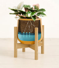 Load image into Gallery viewer, Mustard stand:bamboo
