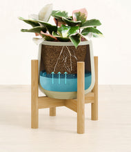 Load image into Gallery viewer, Turquoise stand:bamboo
