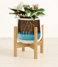 Load image into Gallery viewer, White stand:bamboo
