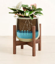 Load image into Gallery viewer, Turquoise stand:walnut

