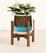 Load image into Gallery viewer, White stand:walnut
