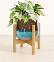 Load image into Gallery viewer, Eternal Gray stand:bamboo
