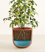 Charger l'image dans la galerie, Earth Red

