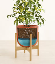 Charger l'image dans la galerie, Earth Red stand:light
