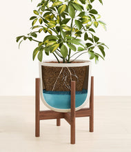 Charger l'image dans la galerie, Natural Bamboo stand:dark
